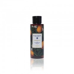 Blue Scents Shampoo Bergamot